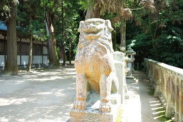 Pathway to Oyamazumi Jinjya or Shrine in Omishima island, Imabari city, Ehime prefecture, Japan....