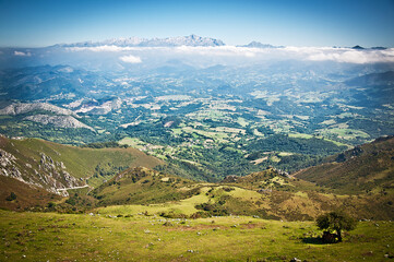 Fototapeta na wymiar Vista de los picos de Europa des Pienzu en el monte sueve. Asturias