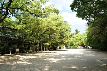 Pathway to Oyamazumi Jinjya or Shrine in Omishima island, Imabari city, Ehime prefecture, Japan. Shimanami kaido - 大山祇神社 大三島 しまなみ海道 愛媛 日本 参道