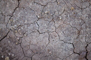 The ground , thailand ,