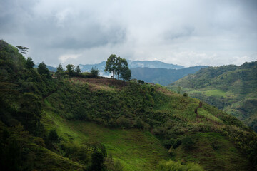 Fototapeta na wymiar country landscape between hills with morning mist .Colombia.