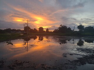Fototapeta na wymiar sunset over the rice fields