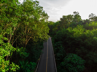 Fototapeta na wymiar Aerial view of green tropical forest through asphalt road