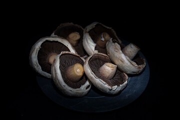 large  portobello  mushrooms  dark background  