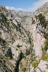 Fototapeta na wymiar Ruta del Cares de Poncebos a Caín. Senderismo en los Picos de Europa entre Cantabria y Asturias