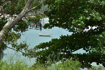 raia da armaçao - floripa