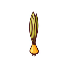 Doodle image of tulip bulb. Garden element. Vector hand-drawn image for stickers, postcards, icons, web.