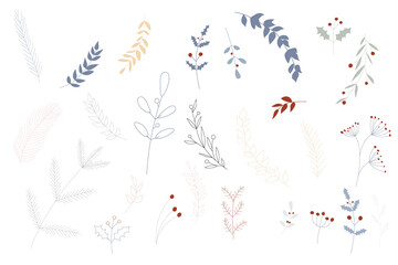 Fototapeta premium Leaves and branches - Vector hand drawn plants. Collection of botanical illustration. Template design for sail, wedding save date, envelope, valentine, for party, holiday decor.