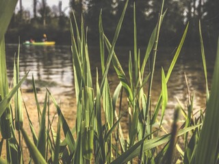 Obraz premium canoeing on a Loue river in eastern France