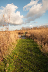 Obraz premium Wooden bridge with iron railing over a pond in the polders of Kruibeke, Belgium