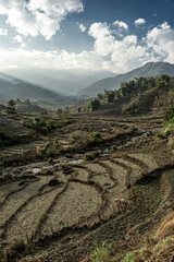 Rice field landscape during a cloudy day around Sa Pa aera