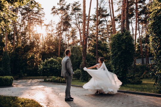 Evening walk of the bride and groom in the summer forest. Beautiful photo session at sunset.