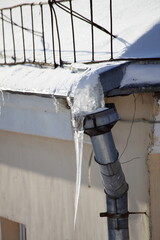 Icy downpour drain pipe top intake with big icicle close up on snow covered old roof of residential...