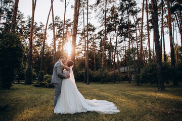 Fototapeta na wymiar Evening walk of the bride and groom in the summer forest. Beautiful photo session at sunset.