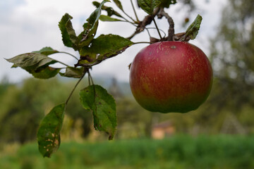Romanian Countryside , Arges County , Capataneni 