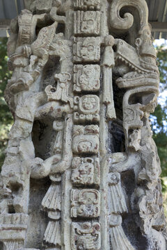 Copan, Honduras,  Central America: mayan hieroglyphs in Quirigua. Copan is an archaeological site of the Maya civilization, not far from the border with Guatemala