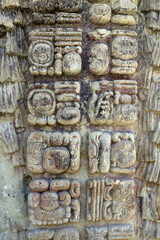 Copan, Honduras,  Central America: mayan hieroglyphs in Quirigua. Copan is an archaeological site of the Maya civilization, not far from the border with Guatemala