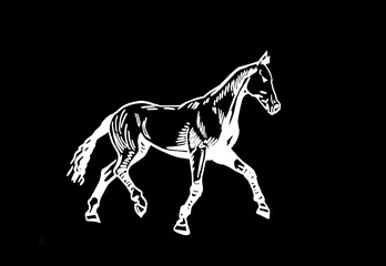 Vector hand-drawn horse isolated on black background,graphical engraved illustration