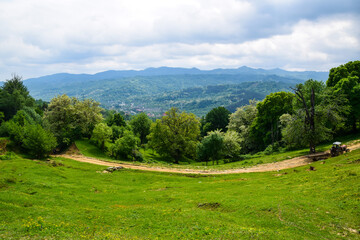 Fototapeta na wymiar Romanian Countryside , Arges County , Capataneni 