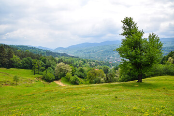 Fototapeta na wymiar Romanian Countryside , Arges County , Capataneni , 