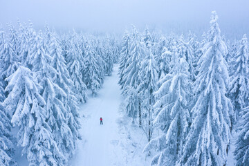Ausflug in die Winterwelt