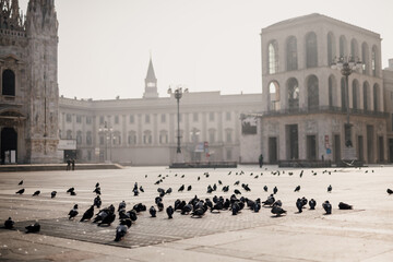 Pigeons in quiet Piazza del Duomo during 2020 Covid-19 Lockdown, Milan, Italy
