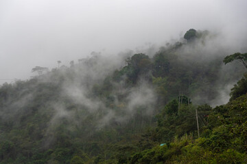Fog between forests that is on the mountain in a Colombian landscape.