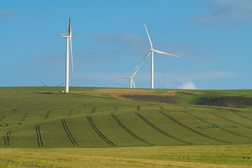 wind turbines farm in the Overberg area of the Western Cape, South Africa concept renewable green...