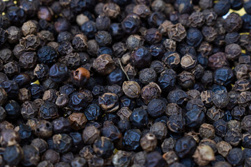 Dired black pepper are an essential part of the spice kit. Pepper seeds are used in curries, curry, salt and pepper tins, ayurveda medicines and garam masala. These are an integral part of traditional