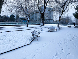 public park with snow in january first snow