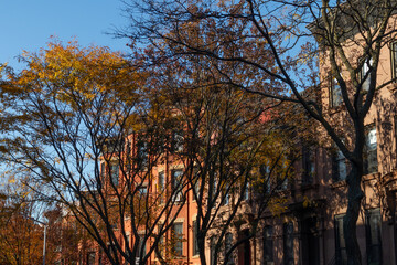 Naklejka premium Park Slope Brooklyn New York Row of Colorful Old Brownstone Homes and Buildings with Trees during Autumn