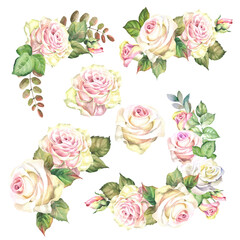 set of roses illustrations.watercolor flowers