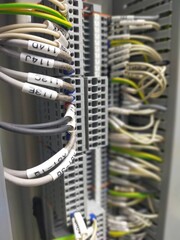 network hub and patch cables