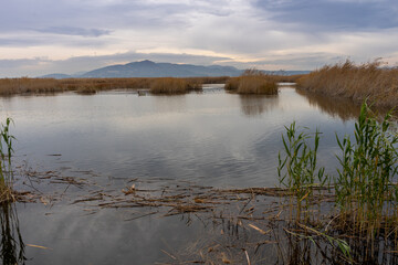 View of the natural reserve of plants and birds La Marjal els Moros in the town of Puzol in Spain