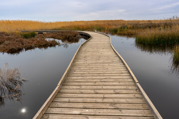 View of a wooden walkway in the natural reserve of plants and birds La Marjal els Moros in the town of Puzol in Spain