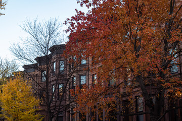 Row of Old Brownstone Homes in Park Slope Brooklyn New York with Colorful Trees during Autumn