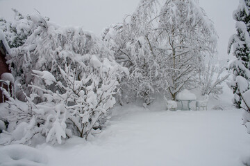 Neuschnee im Garten mit Palme und Zypressen