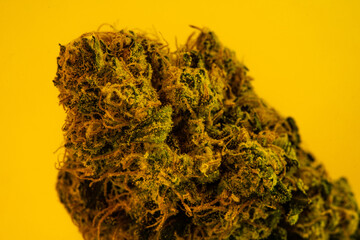 Close up prescription medical marijuana flower. CBD cannabis bud photography for dispensary menu....