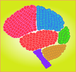 colorful brain  in idea concept