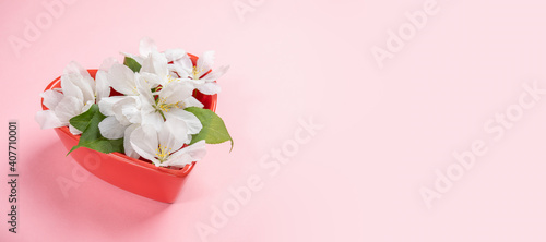 Festive banner. Red plate in heart shape with blooming white apple tree twigs on pink background with copy space. Holiday Mother's day, Valentine's Day, Birthday creative background.
