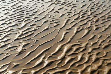 close up view of sand structures at low tide on a beach
