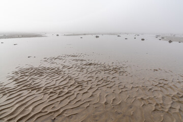 endless ocean floor uncovered at low tide with sand structures and rocks and tidal pools under lifting fog in the blue sky