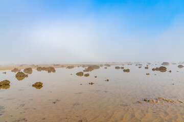 landscape of fog lifting over an endless wadden sea beach at low tide