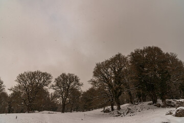 Molise, Italy.  Spectacular winter panorama.