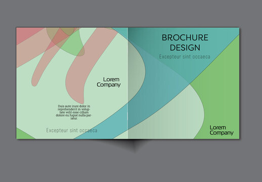Brochure Cover Layout with Abstract Overlapping Pastel Shapes