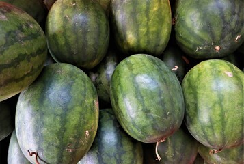 watermelons on market