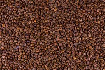 many roasted a coffee beans lie together