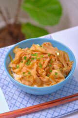 rice topped with pork or pork stew, Japanese food