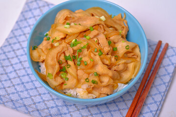 rice topped with pork or pork stew, Japanese food
