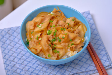 rice topped with pork or pork stew, Japanese food